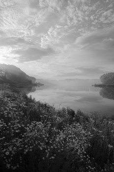 At the pond / ***