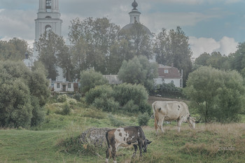 The walls of the monastery / ***
