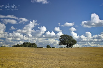 Der Sommer geht... / Ein abgeerntetes Getreidefeld