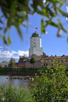 Vyborg Castle / ***