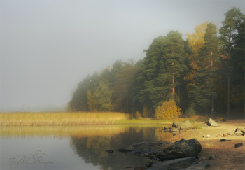 Fog and sun / ***