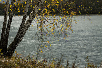 Autumn by the River / ***