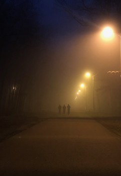Evening fog / ***