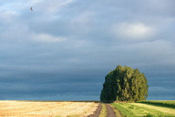 About September ... / ***