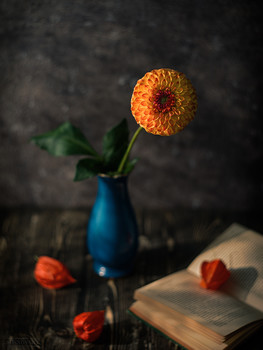 autumn morning / ***