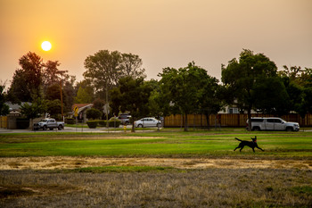 Evening hours / .....