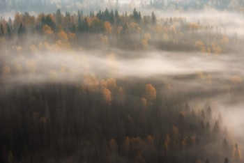 autumn mist / ***