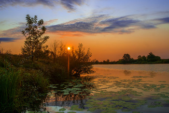 Autumn dawn. / ***