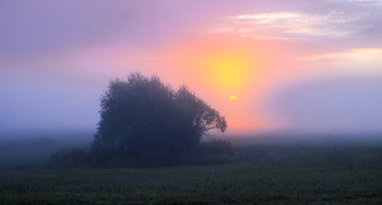 Morning fog. / ***
