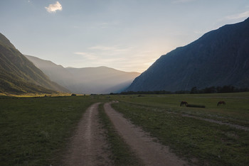 The roads we take / ***
