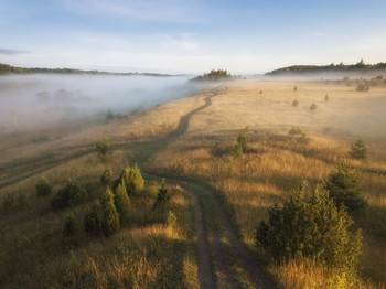 The roads we take / ***