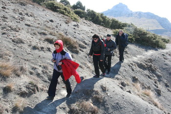 The roads we take / ***