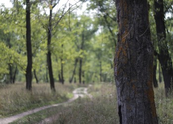 The roads we take / ***