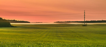 Foggy morning / ***