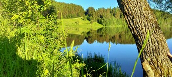 The past summer / ...