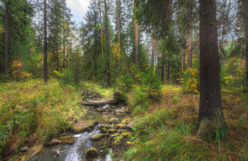 Autumn creek / ***