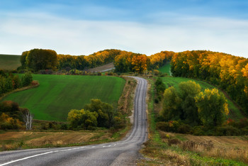 Autumn road / ***