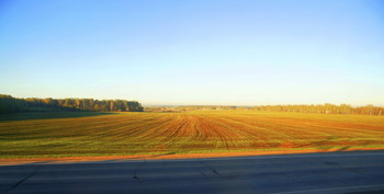 Polyushko-field / ***