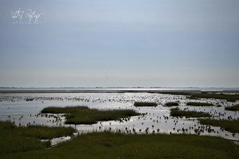 Die See, der Wind und das Land... / Marschland in der Nordsee