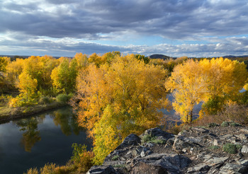 Autumn / ***