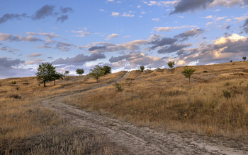 The road to heaven / ***