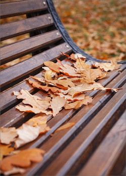 *Autumn sketch** / ***