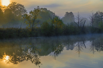 Autumn dawn. / ***