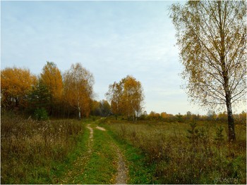 Autumn road / ***