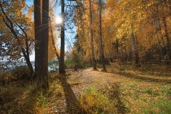 Autumn trail / ***