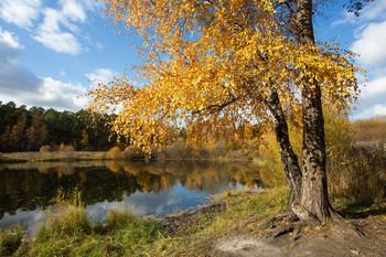 Autumn / .......
