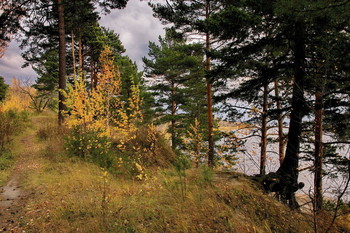 Autumn afternoon. / ***