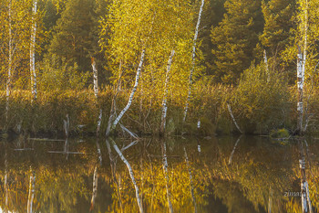 Autumn Sonata / ***