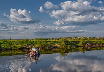 &nbsp; / ***