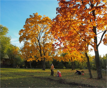 In autumn park / ___________