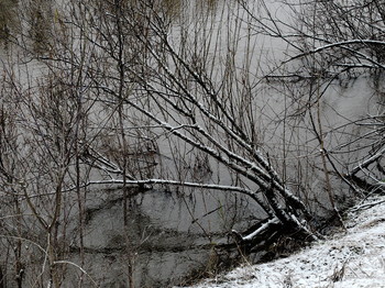 Autumn Sonata / 2015-10-30-0016-C0-050(80)