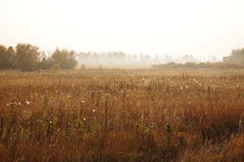Autumn Sonata / ***