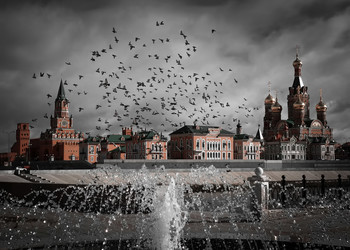 Autumn Sonata / ***