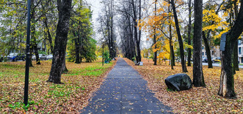 Autumn Sonata / ***