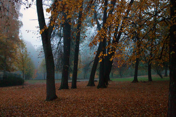 Autumn Sonata / ***