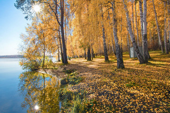 Autumn beach / ***