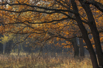 Autumn ... / ...