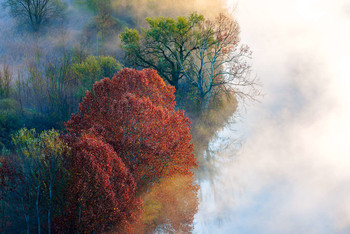 [morning light] / Morning light along the Adda river, Airuno - Italy