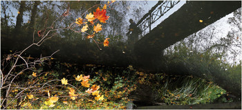 Autumn Sonata / ***