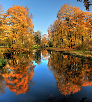 in the park / ***