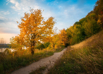 Autumn trail / ***