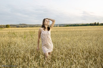 in the fields / ***
