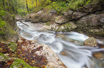 Herbstbeginn in der Taugl / Herbstbeginn in der Taugl
