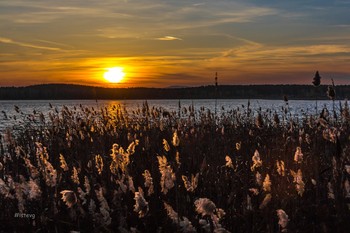 Last rays. / ***