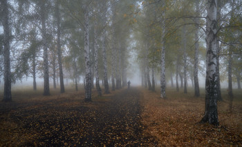 autumn mist / ***