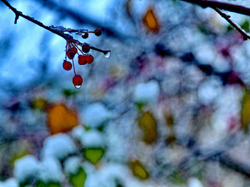 First snow / ***